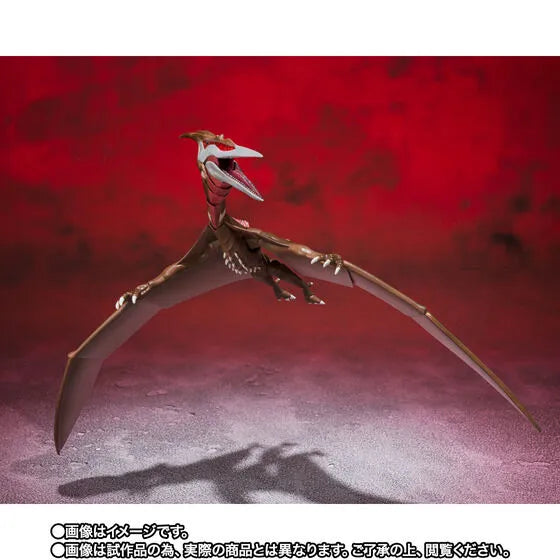 Gojira S.P - Rodan - S.H.MonsterArts - 2021, Second Form (Bandai Spirits) [Shop Exclusive]ㅤ – Bandai Spirits – ActionFigureBrasil