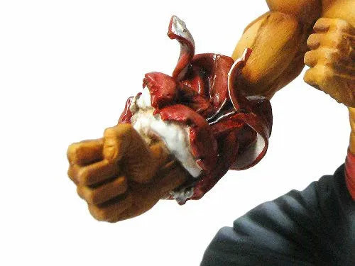 Grappler Baki - Retsu Kaioh - Real Detail Figure - Karuwaza Online Edition (Spider Web)ㅤ – Spider Web – ActionFigureBrasil