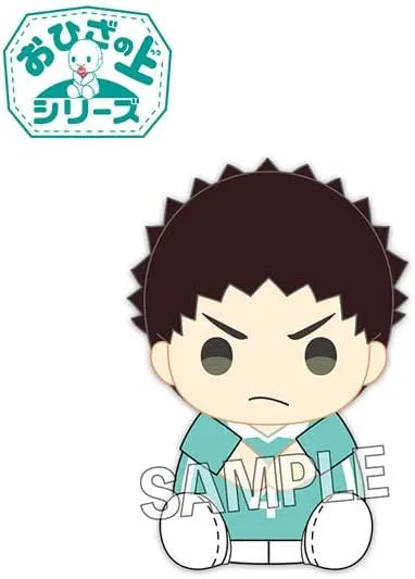 Haikyuu!! - Iwaizumi Hajime - O Hiza no Ue Series (Proof)ㅤ – Proof – ActionFigureBrasil