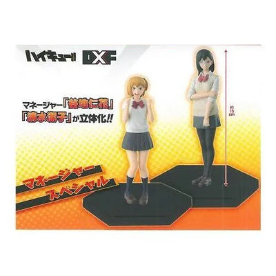 Haikyuu!! - Shimizu Kiyoko - Yachi Hitoka - DXF Figure - Haikyuu!! DXF Figure Manager Special - Manager Specialㅤ – Banpresto – ActionFigureBrasil