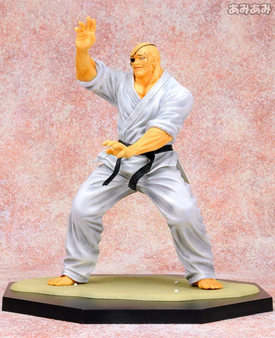 "Hanma Baki" RDF Orochi Doppo Normal Editionㅤ – Puella Magi Madoka Magica – ActionFigureBrasil — ângulo diferente