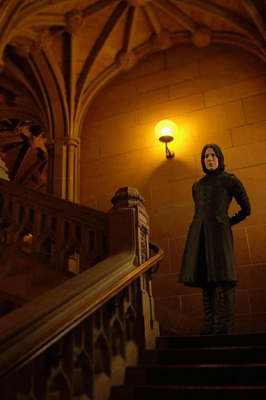 Harry Potter and the Philosopher's Stone - Severus Snape - S.H.Figuarts (Bandai)ㅤ – Bandai – ActionFigureBrasil