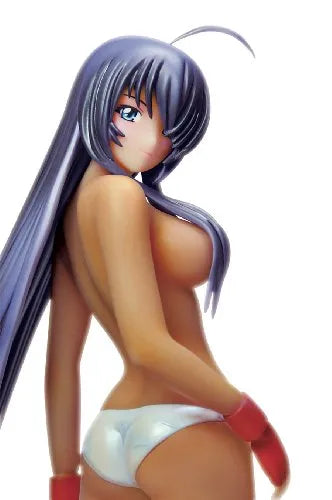 Ikki Tousen Great Guardians - Kan'u Unchou - Skytube - 1/8 - Perfect body ver. (Alphamax)ㅤ – Alphamax – ActionFigureBrasil — close