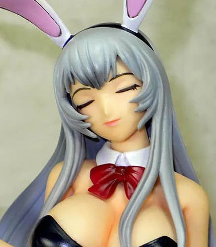 Ikki Tousen Xtreme Xecutor - Chouun Shiryuu - 1/6 - Bunny Girl ver. (Amie-Grand)ㅤ – Amie Grand – ActionFigureBrasil