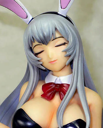 Ikki Tousen Xtreme Xecutor - Chouun Shiryuu - 1/6 - Bunny Girl ver. (Amie-Grand)ㅤ – Amie Grand – ActionFigureBrasil