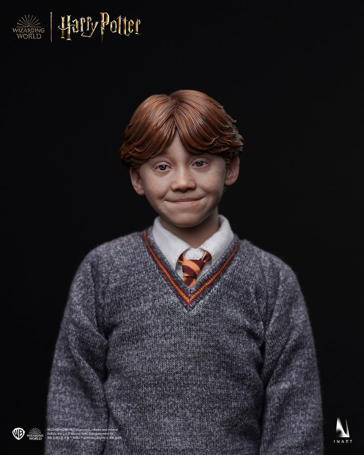 Harry Potter y la piedra filosofal - Ron Weasley (Versión estándar) A010S1 