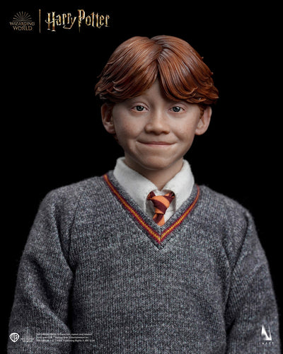 Harry Potter y la piedra filosofal - Ron Weasley (Versión estándar) A010S1 
