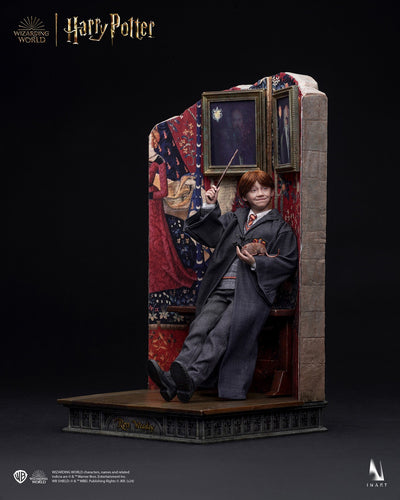 Harry Potter y la piedra filosofal - Ron Weasley (Versión Deluxe) A010D1 