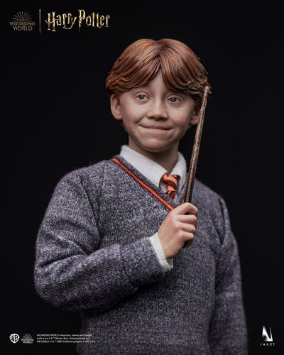 Harry Potter y la piedra filosofal - Ron Weasley (Versión estándar) A010S1 