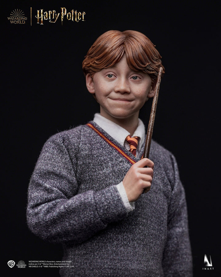 Harry Potter y la piedra filosofal - Ron Weasley (Versión estándar) A010S1 