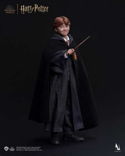 Harry Potter y la piedra filosofal - Ron Weasley (Versión estándar) A010S1 