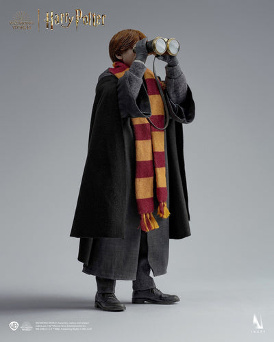 Harry Potter y la piedra filosofal - Ron Weasley (Versión Deluxe) A010D1 