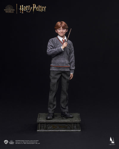 Harry Potter y la piedra filosofal - Ron Weasley (Versión estándar) A010S1 