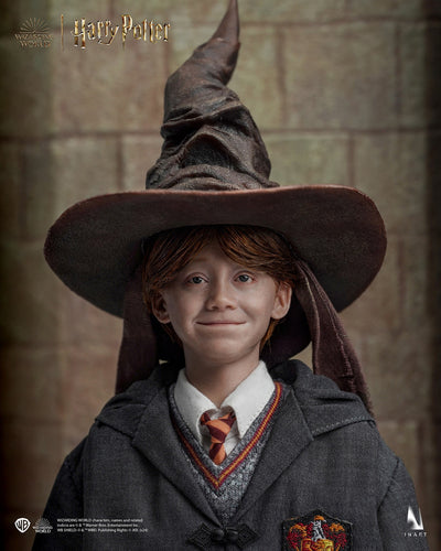 Harry Potter y la piedra filosofal - Ron Weasley (Versión Deluxe) A010D1 