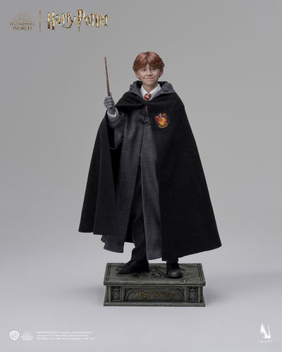 Harry Potter y la piedra filosofal - Ron Weasley (Versión estándar) A010S1 