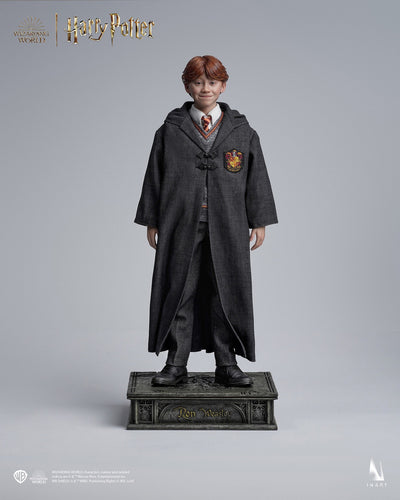Harry Potter y la piedra filosofal - Ron Weasley (Versión estándar) A010S1 