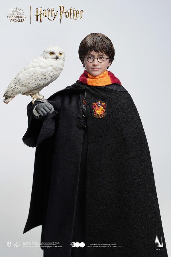 Harry Potter y la piedra filosofal - Harry Potter (Uniforme de Hogwarts) (Versión Premium) A006P1 