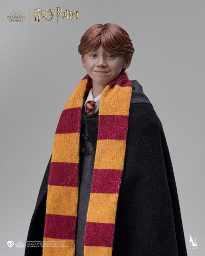 Harry Potter y la piedra filosofal - Ron Weasley (Versión estándar) A010S1 