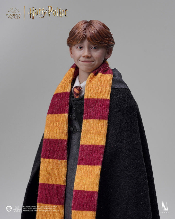 Harry Potter y la piedra filosofal - Ron Weasley (Versión estándar) A010S1 