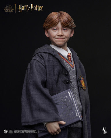 Harry Potter y la piedra filosofal - Ron Weasley (Versión estándar) A010S1 