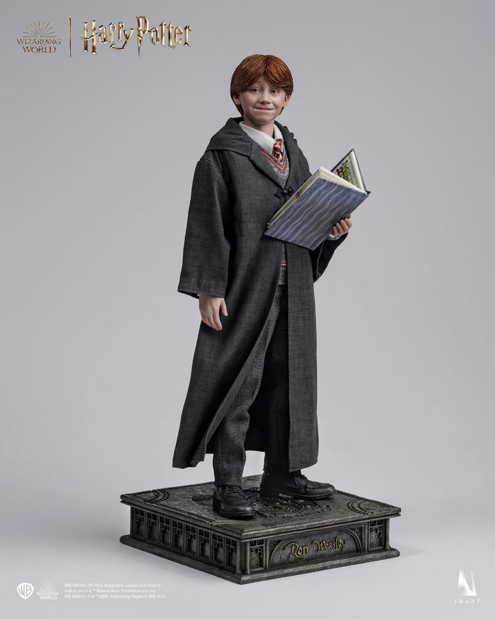 Harry Potter y la piedra filosofal - Ron Weasley (Versión Deluxe) A010D1 