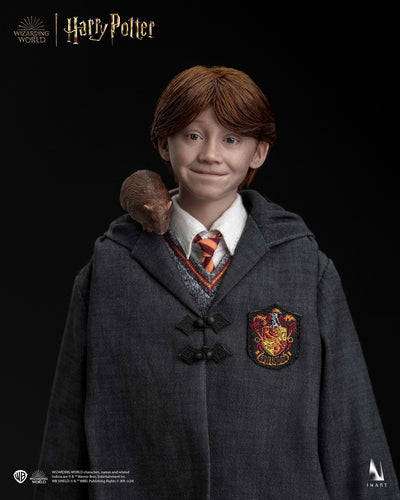 Harry Potter y la piedra filosofal - Ron Weasley (Versión Deluxe) A010D1 