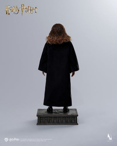 Harry Potter y la piedra filosofal - Hermione Granger (Versión Deluxe) A011 