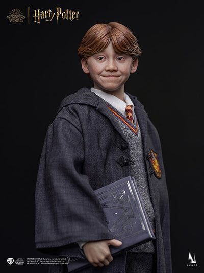 Harry Potter y la piedra filosofal - Ron Weasley (Versión estándar) A010S1 