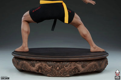 Jean-Claude Van Damme: Shotokan Tribute - LIMITED EDITION: 500 – PCS – ActionFigure Brasil — close