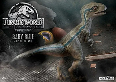 Jurassic World: Fallen Kingdom - Blue - Legacy Museum Collection LMCJW2-02 - 1/1 - Baby (Prime 1 Studio)ㅤ – Prime 1 Studio – ActionFigureBrasil