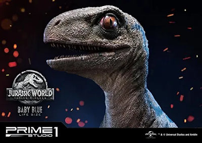 Jurassic World: Fallen Kingdom - Blue - Legacy Museum Collection LMCJW2-02 - 1/1 - Baby (Prime 1 Studio)ㅤ – Prime 1 Studio – ActionFigureBrasil — iluminação de estúdio