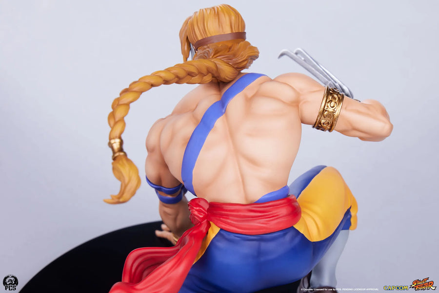 Ken & Vega – PCS – ActionFigure Brasil