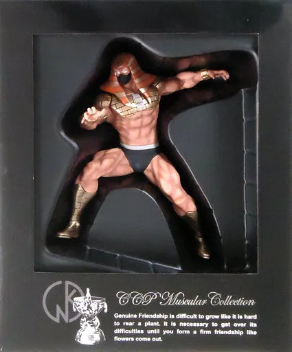 Kinnikuman - Mister Kamen - CCP Muscular Collection - High Spec Ver. (Original color) (CCP)ㅤ – CCP – ActionFigureBrasil