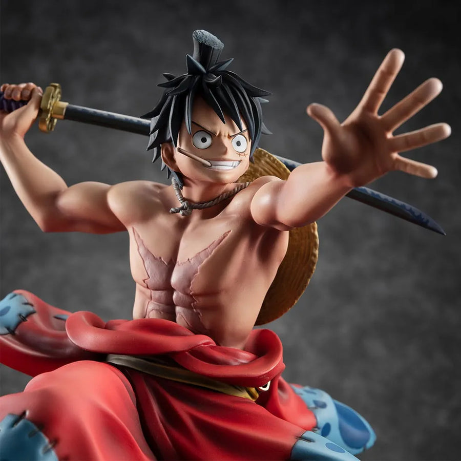 Luffy Taro 