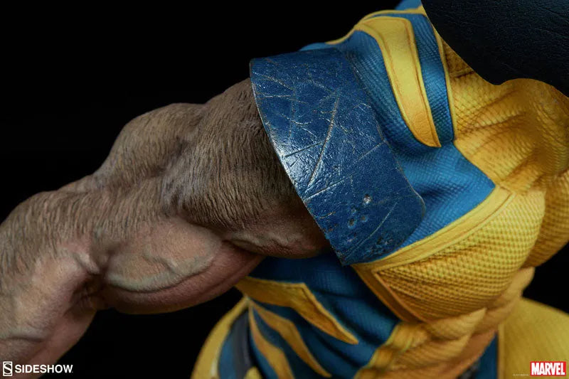 Marvel Comics - Premium Format Figure: Wolverineㅤ – Sideshow Collectibles – ActionFigureBrasil