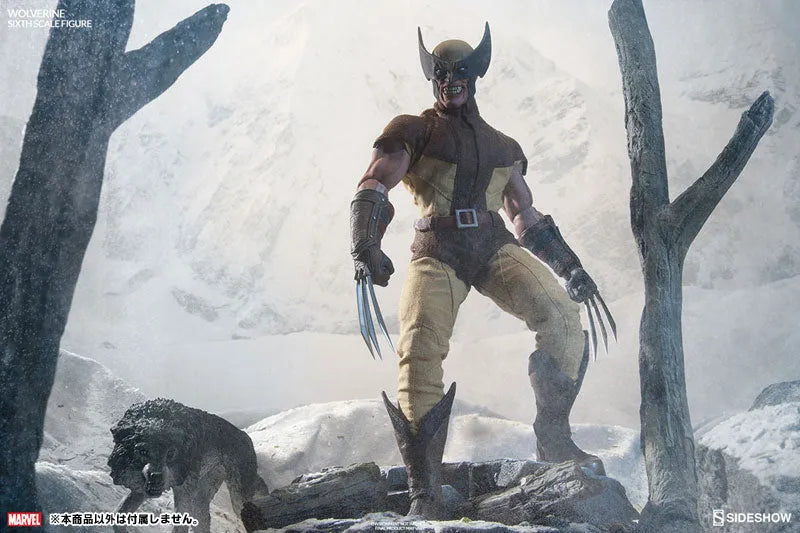 Marvel Comics - SideShow Sixth Scale #003 Wolverineㅤ – Sideshow Collectibles – ActionFigureBrasil