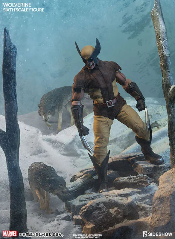 Marvel Comics - SideShow Sixth Scale #003 Wolverineㅤ – Sideshow Collectibles – ActionFigureBrasil