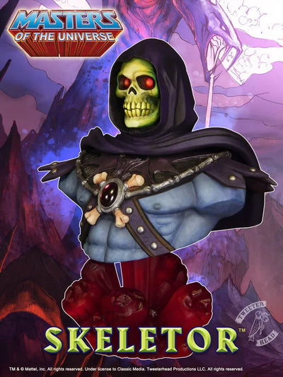 Masters of the Universe - Bust: Skeletorㅤ – Puella Magi Madoka Magica – ActionFigureBrasil — detalhe do produto