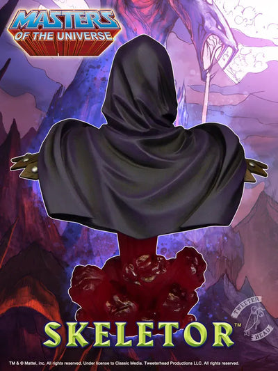 Masters of the Universe - Bust: Skeletorㅤ – Puella Magi Madoka Magica – ActionFigureBrasil — close