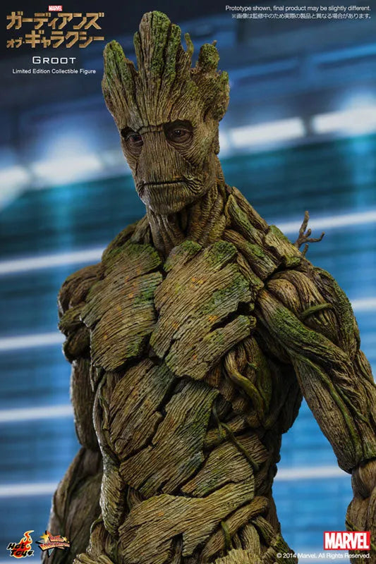 Movie Masterpiece - Guardians of the Galaxy 1/6 Scale Figure: Grootㅤ – Puella Magi Madoka Magica – ActionFigureBrasil