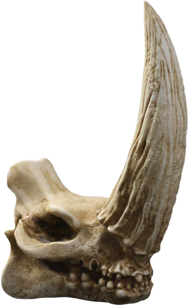 Mudhorn Skull – Regal Robot – ActionFigure Brasil