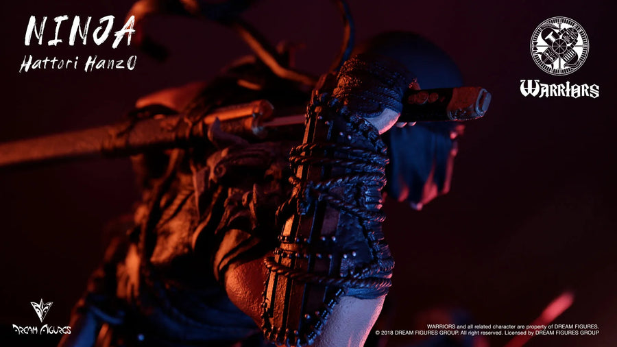 Ninja - LIMITED EDITION: 70 – Dream Figures – ActionFigure Brasil