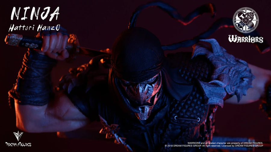 Ninja - LIMITED EDITION: 70 – Dream Figures – ActionFigure Brasil