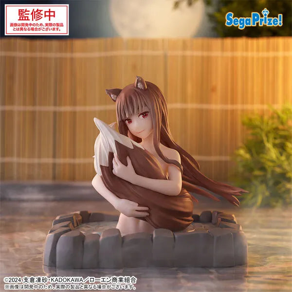 Ookami to Koushinryou: Merchant Meets the Wise Wolf - Holo - Thermae Yu~topia (SEGA)ㅤ – SEGA – ActionFigureBrasil