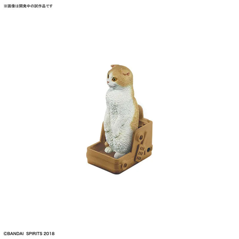 Original Character - Neko Busou 2 - Scottish Fold - Tenkomori (Bandai)ㅤ – Bandai – ActionFigureBrasil