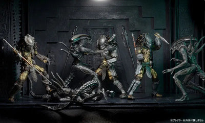 Predator - 7 Inch Action Figure Series 15 AVP Alien VS Predator: 3Type Setㅤ – NECA – ActionFigureBrasil — acessórios
