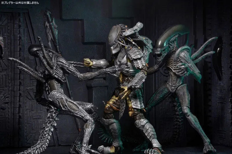 Predator - 7 Inch Action Figure Series 15 AVP Alien VS Predator: 3Type Setㅤ – NECA – ActionFigureBrasil