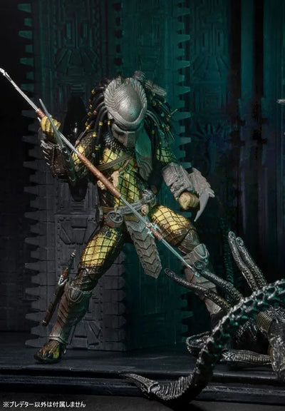Predator - 7 Inch Action Figure Series 15 AVP Alien VS Predator: 3Type Setㅤ – NECA – ActionFigureBrasil — com base expositora