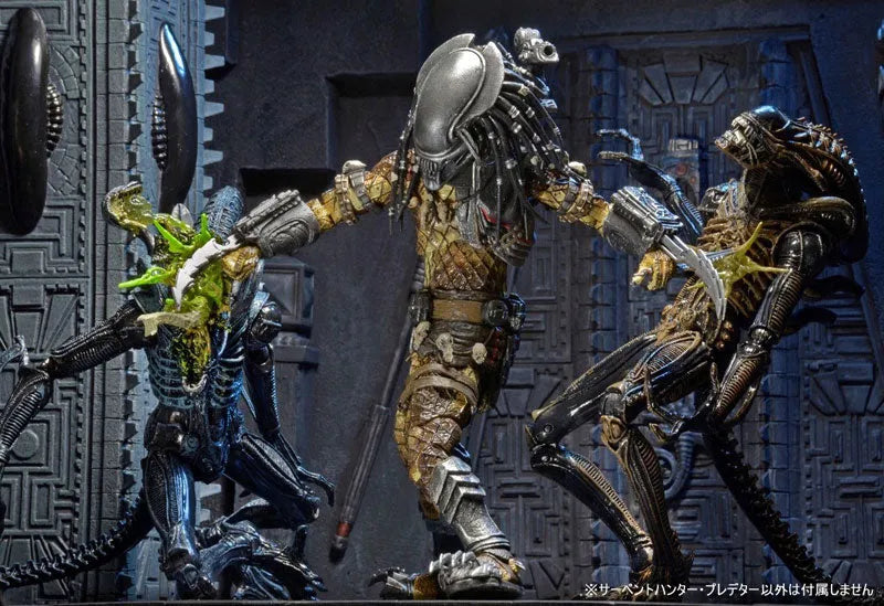 Predator - 7 Inch Action Figure Series 17: Classic Kenner 3Type Setㅤ – NECA – ActionFigureBrasil
