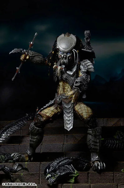 Predator - 7inch Action Figure Series 14 AVP Alien VS. Predator 3Type Setㅤ – NECA – ActionFigureBrasil — embalagem